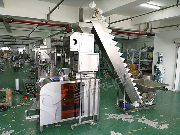 食用鹽調(diào)味品包裝機(jī)-全自動(dòng)食用鹽包裝生產(chǎn)線